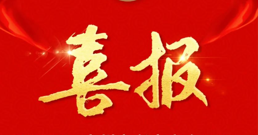 喜报！清远市四川商会获认定为2024年广东省“四好”商会